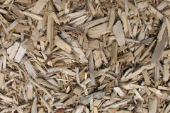 biomass boilers Rhosymedre